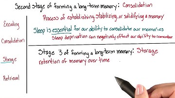 Storage - Intro to Psychology