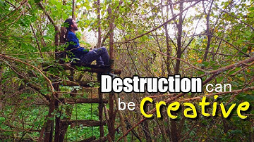 Humans are good for the Planet | How to Grow (something like) the Amazon