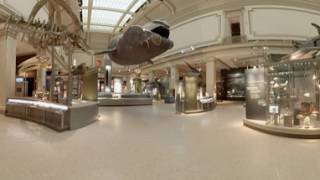 National Museum of Natural History Sant Ocean Hall | Washington, DC 360 Video