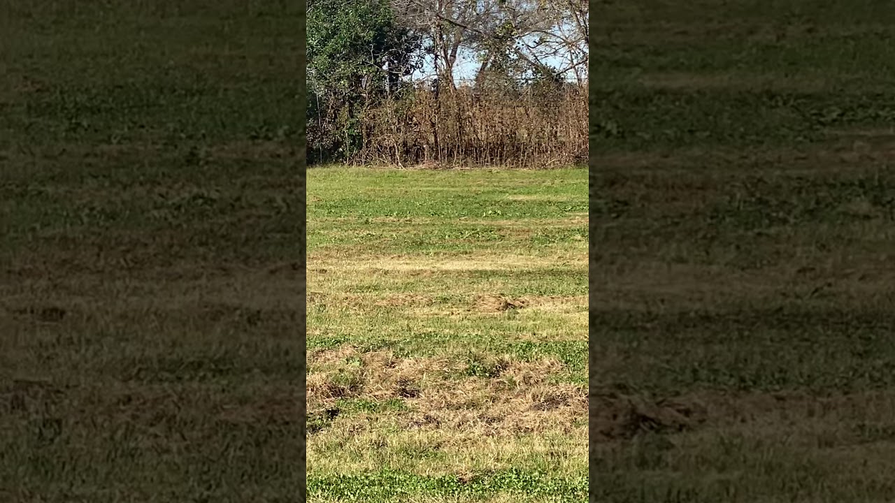 East Texas Real Estate YouTube