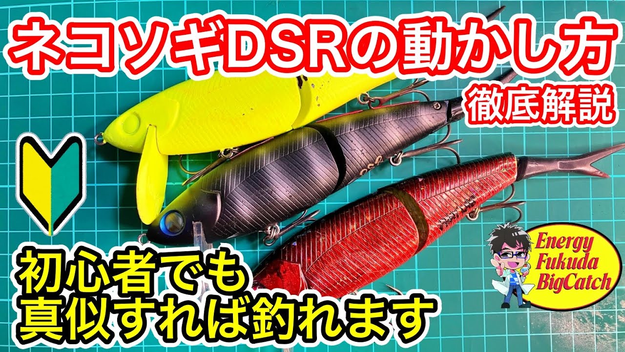 ネコソギDSRとタイニークラッシュどっちが釣れるの？デッドスローVS 