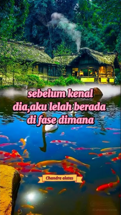 CINTA MEMBAWA DERITA - ANDRA RESPATI [STORY WHATSAPP]