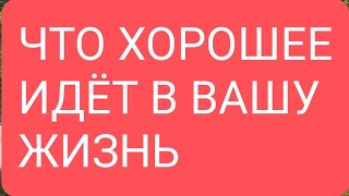 📌Что хорошее идёт в Вашу жизнь#тародлямужчин#таро#гадание#тародлявсех#таролог#тароонлайн