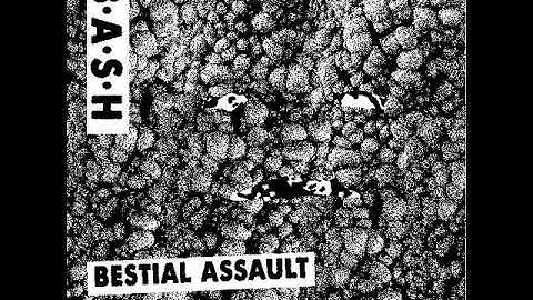 B.A.S.H. - Bestial Assault of Savage Hormones [2017]