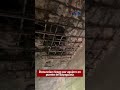 Denuncian riesgo por agujero en puente de Bayaguana