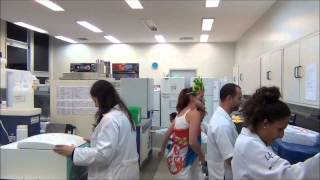 The first Harlem Shake of National Laboratory of Embryonic Stem Cells (LaNCE)