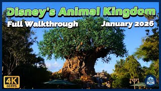 Disneys Animal Kingdom Full Walkthrough (January 2026) DinoLand, Both Trials, and Rafikis