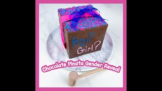 Fun Gender Reveal with Chocolate Piñata!