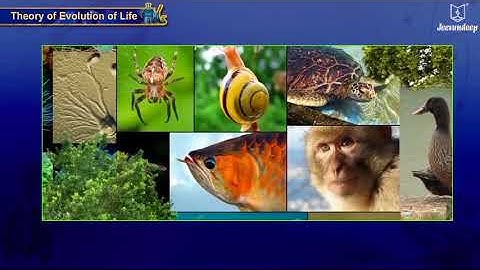 Heredity and Evolution | Science & Technology | Grade 10 | Part 2 | Jeevandeep