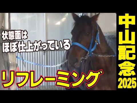 【中山記念2025】 鮫島一歩調教師ラスト重賞 リフレーミング直前インタビュー「状態面はほぼ仕上がっている」「もう一つギアが上がるかもしれない」《東スポ競馬》