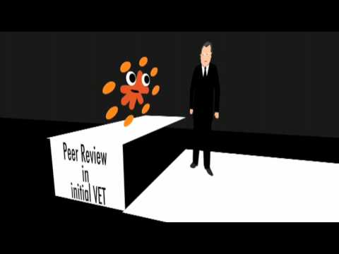 Peer Review (Part 1) - IBF - Information Video