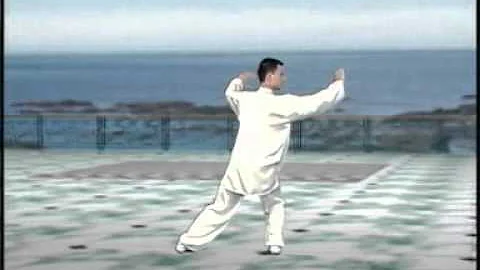 陳思坦太極拳48式整套背面示範mp4 Mp3 陳思坦太極拳48式整套背面示範mp4 Mp3