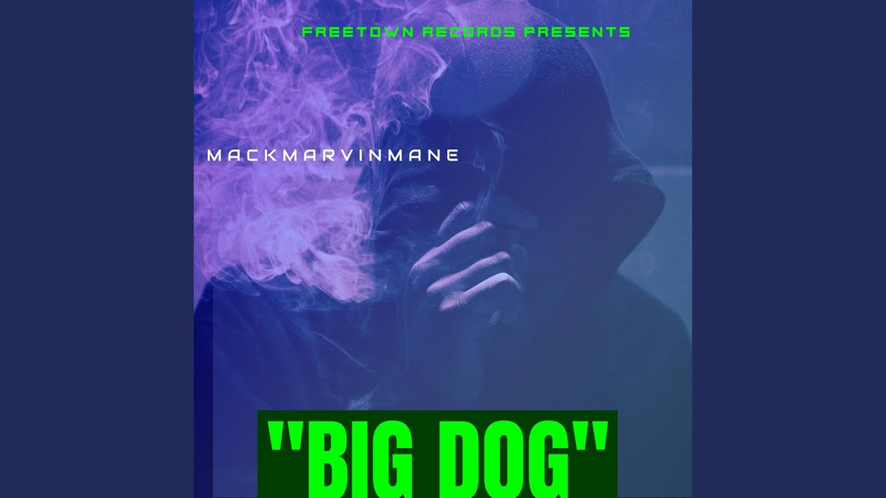 BIG DOG