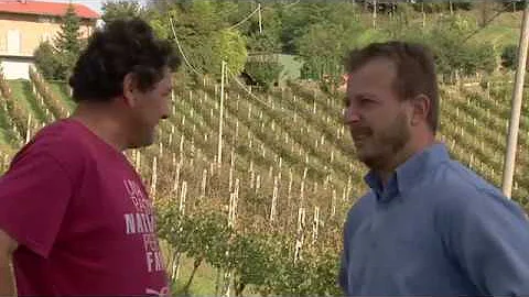 AIV DISTRIBUTORS INC NEW YORK