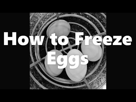 How to Freeze Eggs