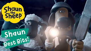 Attack Of The Halloween Snails! 😱🐌 Shaun The Sheep Best Bits Season 6