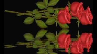 otoban tek 8 bölüm (komik)