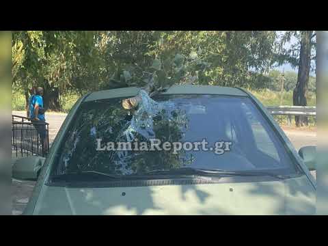 LamiaReport.gr: Κλαδί καρφώθηκε σε παρμπρίζ αυτοκινήτου εν κινήσει