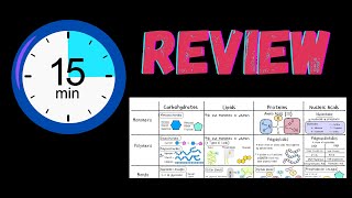 Macromolecule Table Review (monomer, polymer, bond, functions, Carb, Protein, Lipid, Nucleic acid)
