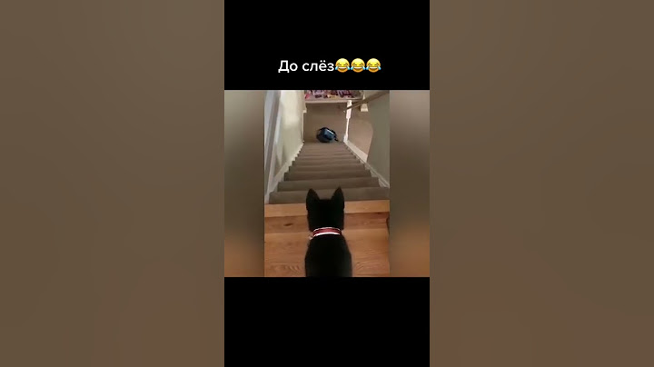 до слёз😂😂😂