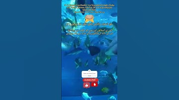 س: آسمانوں اور انسانوں کو کس نے اور کس سے بنایا؟A: Surat No 16 : سورة النحل - Ayat No 3-4