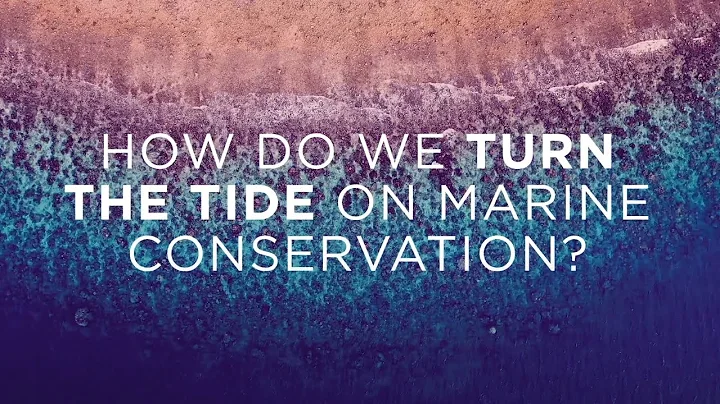 How do we turn the tide on marine conservation? - DayDayNews