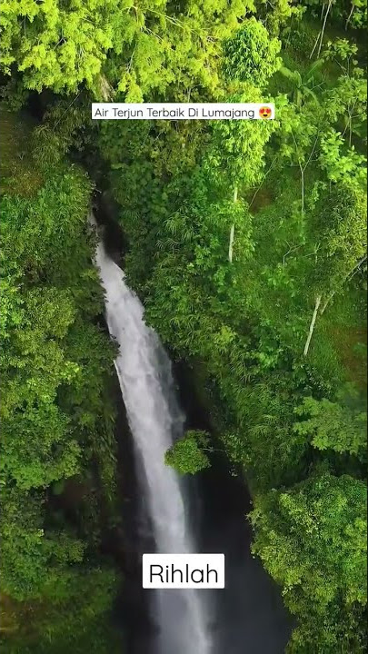 STORY WA KEREN 30 DETIK | RIHLAH AIR TERJUN KABUT PELANGI LUMAJANG #shorts