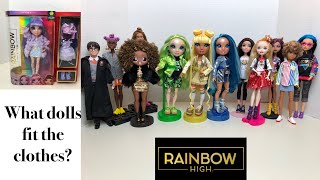 What Dolls fit Rainbow High Clothes | RH Violet Willow Review