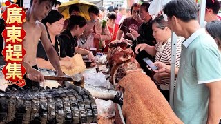 Fresh Crocodile Meat & Roasted Pork | Shunde, China Market screenshot 5