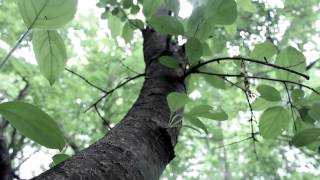 Where do we stand 13 years of forest loss in New Brunswick