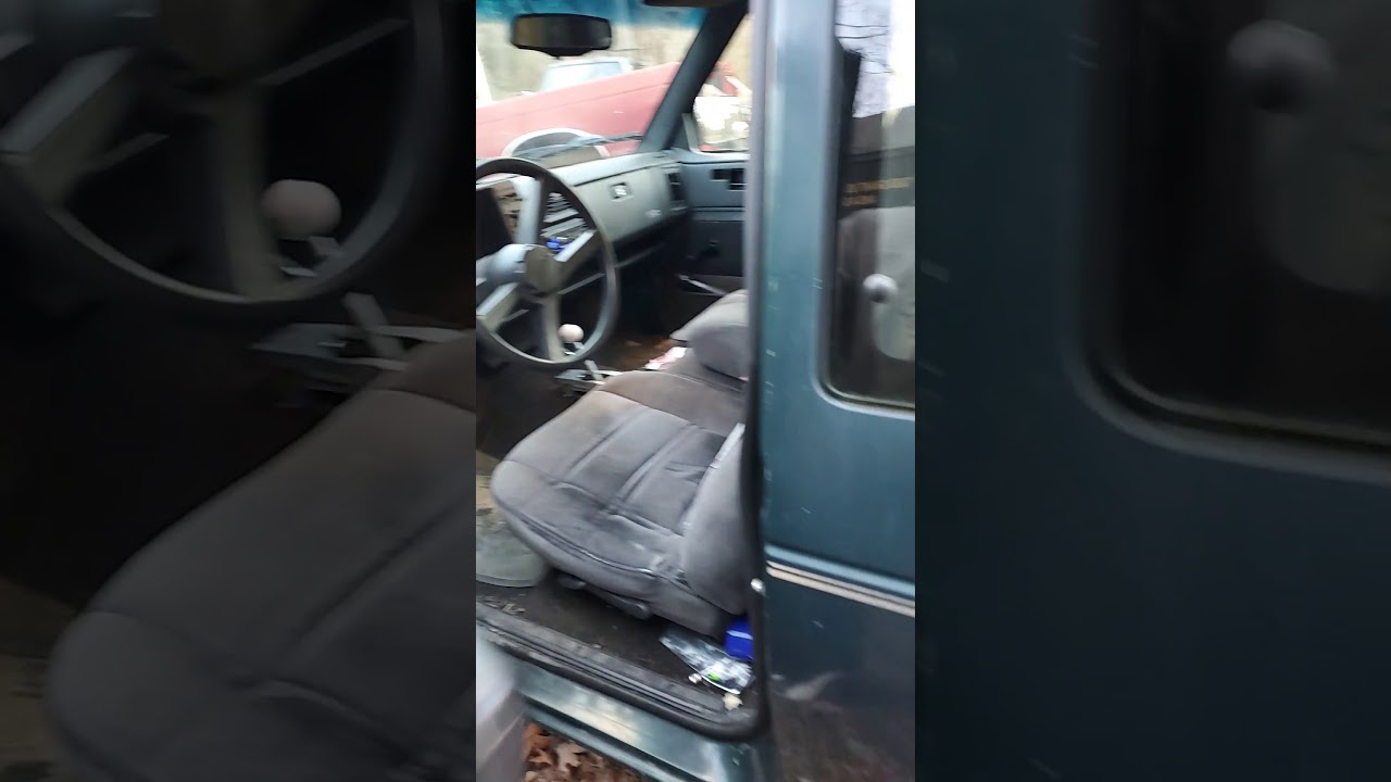 Green Bean walk around 