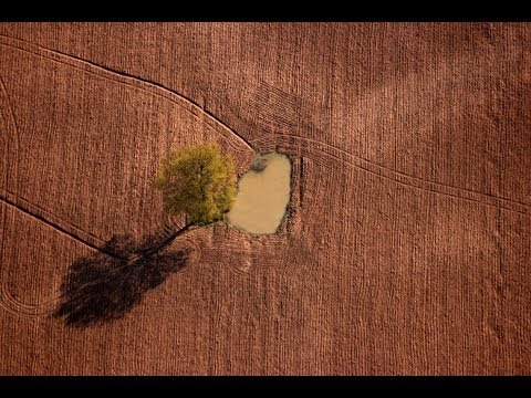 Jean Dubreuil -