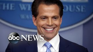 Anthony Scaramucci deletes old tweets criticizing Trump