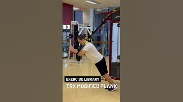 Easy Ab Exercise [TRX Modified Forearm Plank]