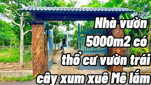 Tuổi già sức yếu chú hạnh làm không nổi nữa đành nhượng lại căn nhà vườn gắn bó lâu nay.Ở BR-VT
