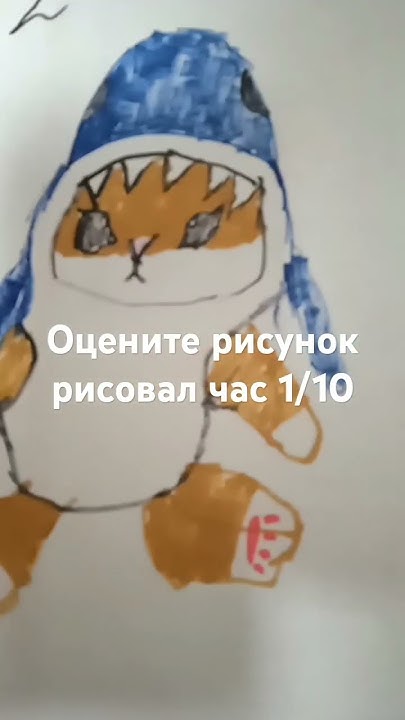 это котик в костюме акулы - YouTube