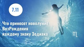 Что принесет новолуние ВозРождения 7.11 в ♏ каждому знаку Зодиака Что принесет новолуние ВозРождения 7.11 в ♏ каждому знаку Зодиака