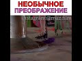 Необычайное преображение😂