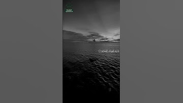 سورة الضحى • مكية • بصوت أبو بكر الشاطري | عدد الآيات: 11 #قرآن #Quran #تلاوة #قرآن_كريم #الضحى
