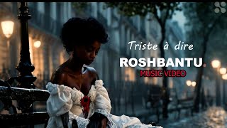 CLIP VIDEO " Triste à dire"