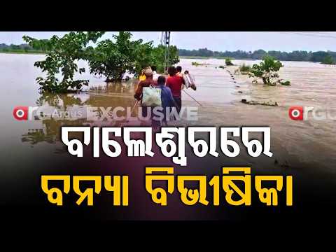 Balasore Floods: 2 Lakh People Affected, 42k Evacuated; NDRF & ODRAF on Ground | Argus News