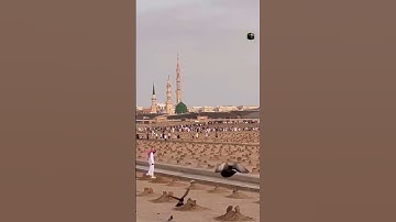 يقول ياليتني قدمت لحياتي #سورة_الفجر الشيخ ماهر المعيقلي