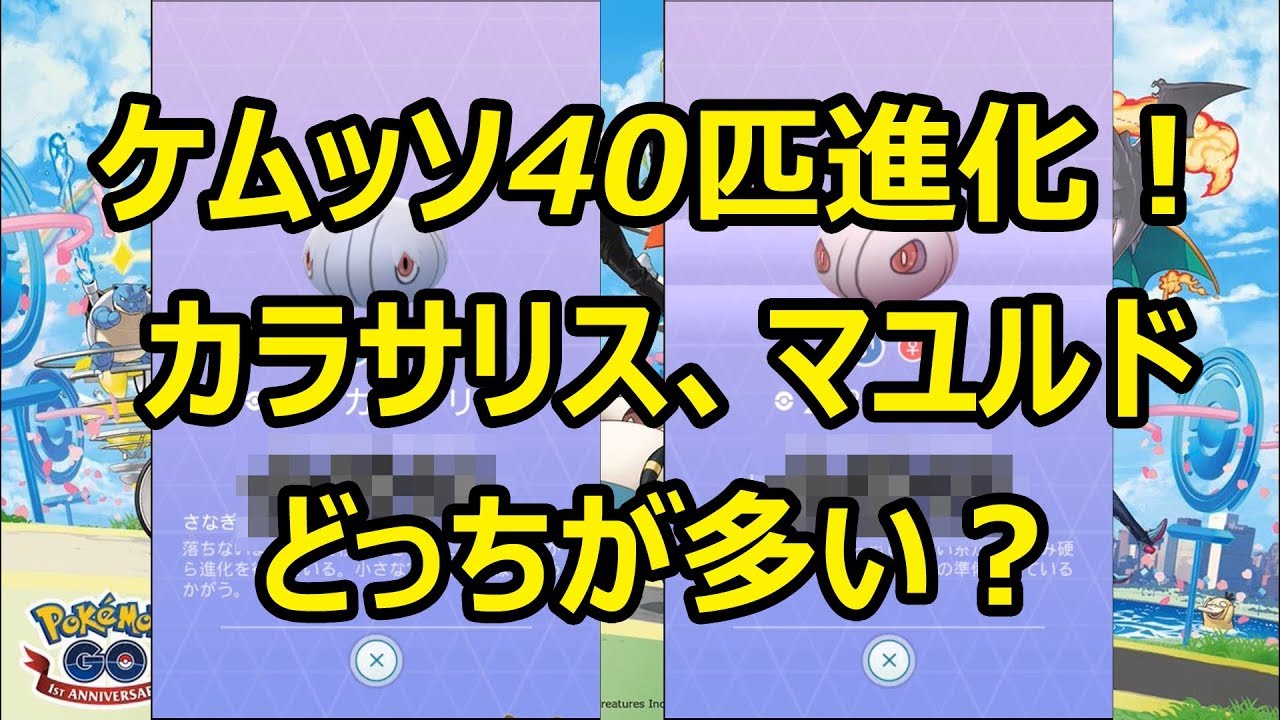 ポケモンgo ケムッソ40匹一気に進化 カラサリスとマユルド どっちが多い Youtube