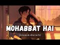 Mohabbat Hai Slowed Reverb Stebin Ben Lofi Song Danish Pwskr Text Audio mp3