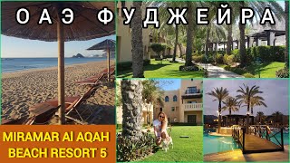 Miramar Al Aqah Beach Resort в Фуджейре в ОАЭ - обзор отличного отеля на берегу Индийского океана