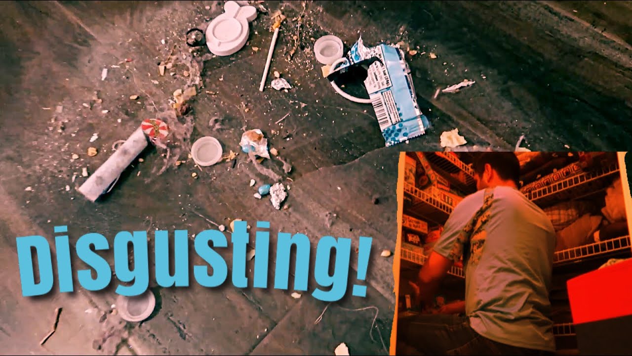 Whoop that trick clean stersafas