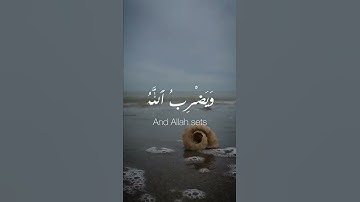 القارئ محمد الغزالي #quran #islam  #قرآن #محمد_الغزالي