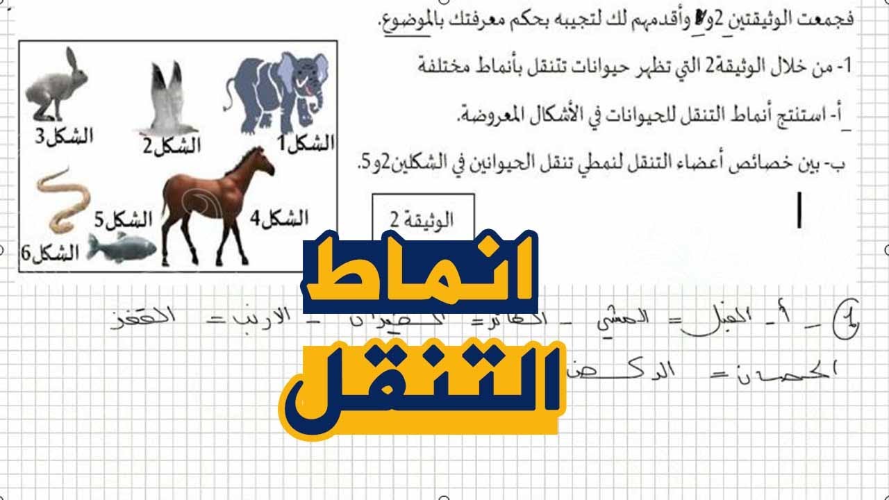 اختبار مقترح للسنة الثانية متوسط علوم طبيعية الجيل الثاني