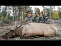 South Dakota Black Hills Bull Elk Hunt