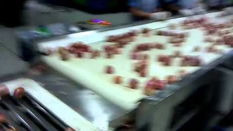 Inspection & Shorting Conveyor (Fruits & Vegetable) by Mahatma Brijmohan Technicals, Aligarh, India